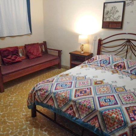 Los Nardos Hostel -Pet Friendly- Oaxaca Eksteriør billede