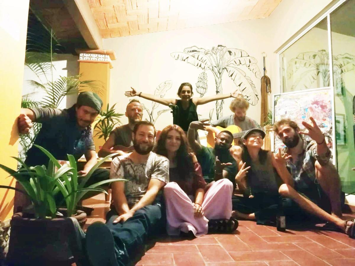 Los Nardos Hostel -Pet Friendly- Oaxaca Eksteriør billede