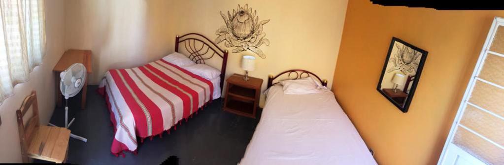 Los Nardos Hostel -Pet Friendly- Oaxaca Eksteriør billede