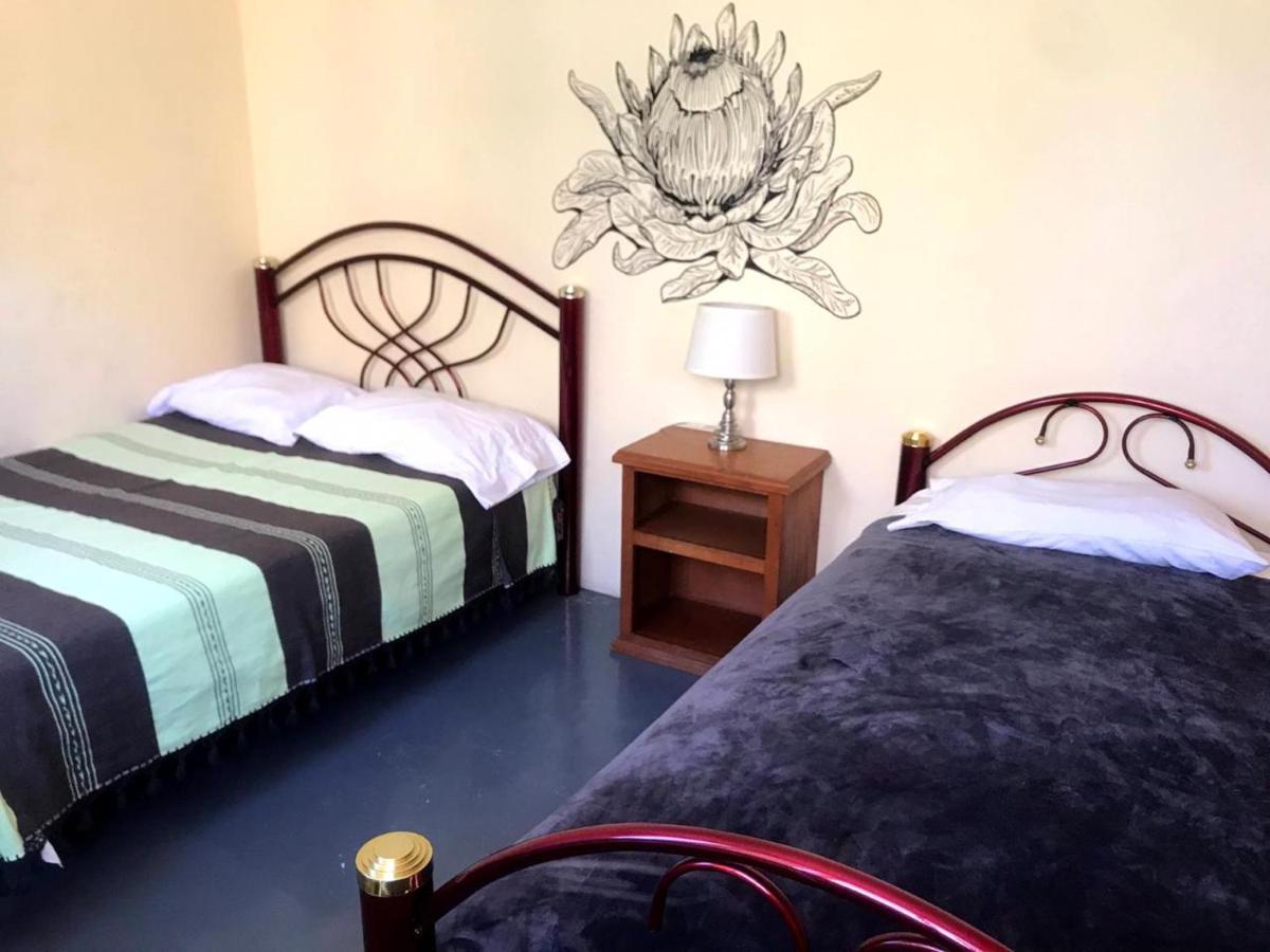 Los Nardos Hostel -Pet Friendly- Oaxaca Eksteriør billede