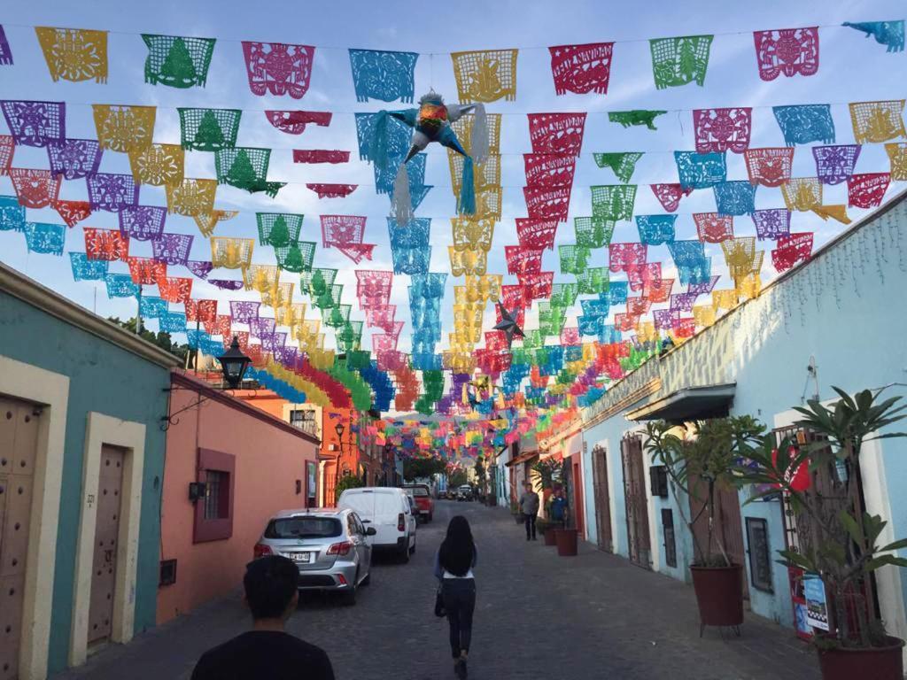Los Nardos Hostel -Pet Friendly- Oaxaca Eksteriør billede