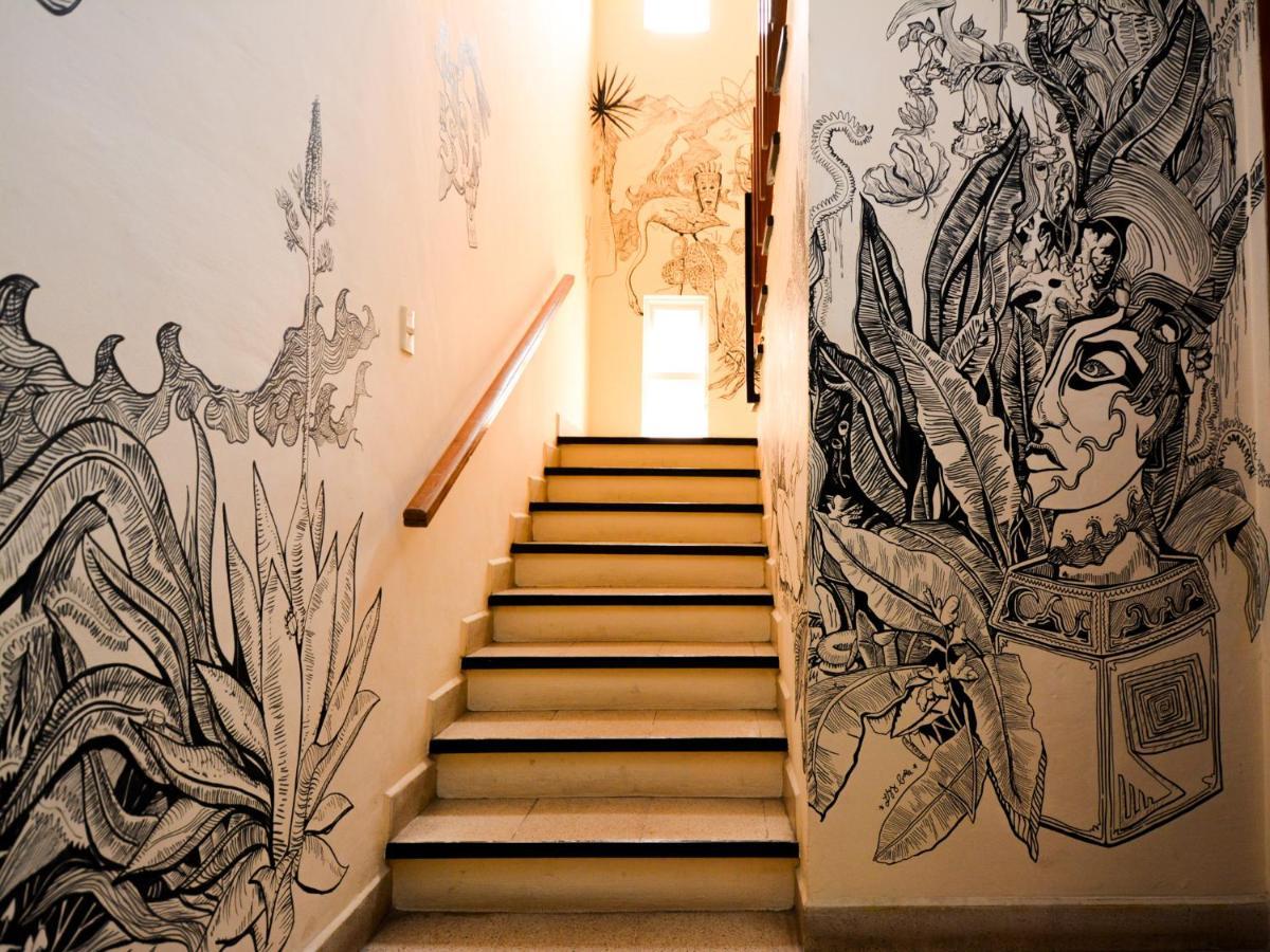 Los Nardos Hostel -Pet Friendly- Oaxaca Eksteriør billede