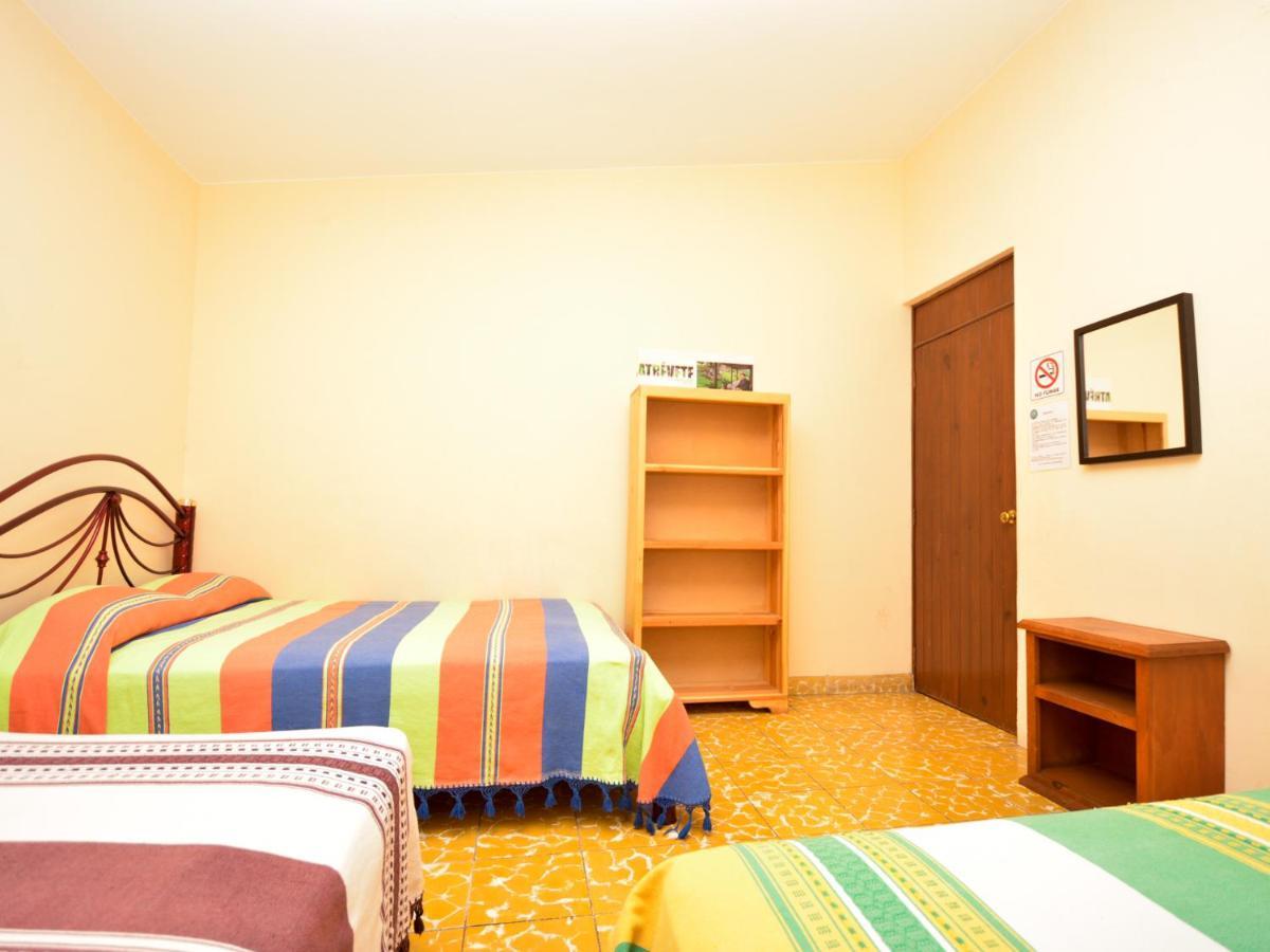 Los Nardos Hostel -Pet Friendly- Oaxaca Eksteriør billede