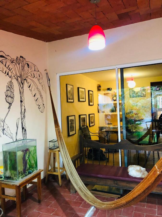 Los Nardos Hostel -Pet Friendly- Oaxaca Eksteriør billede
