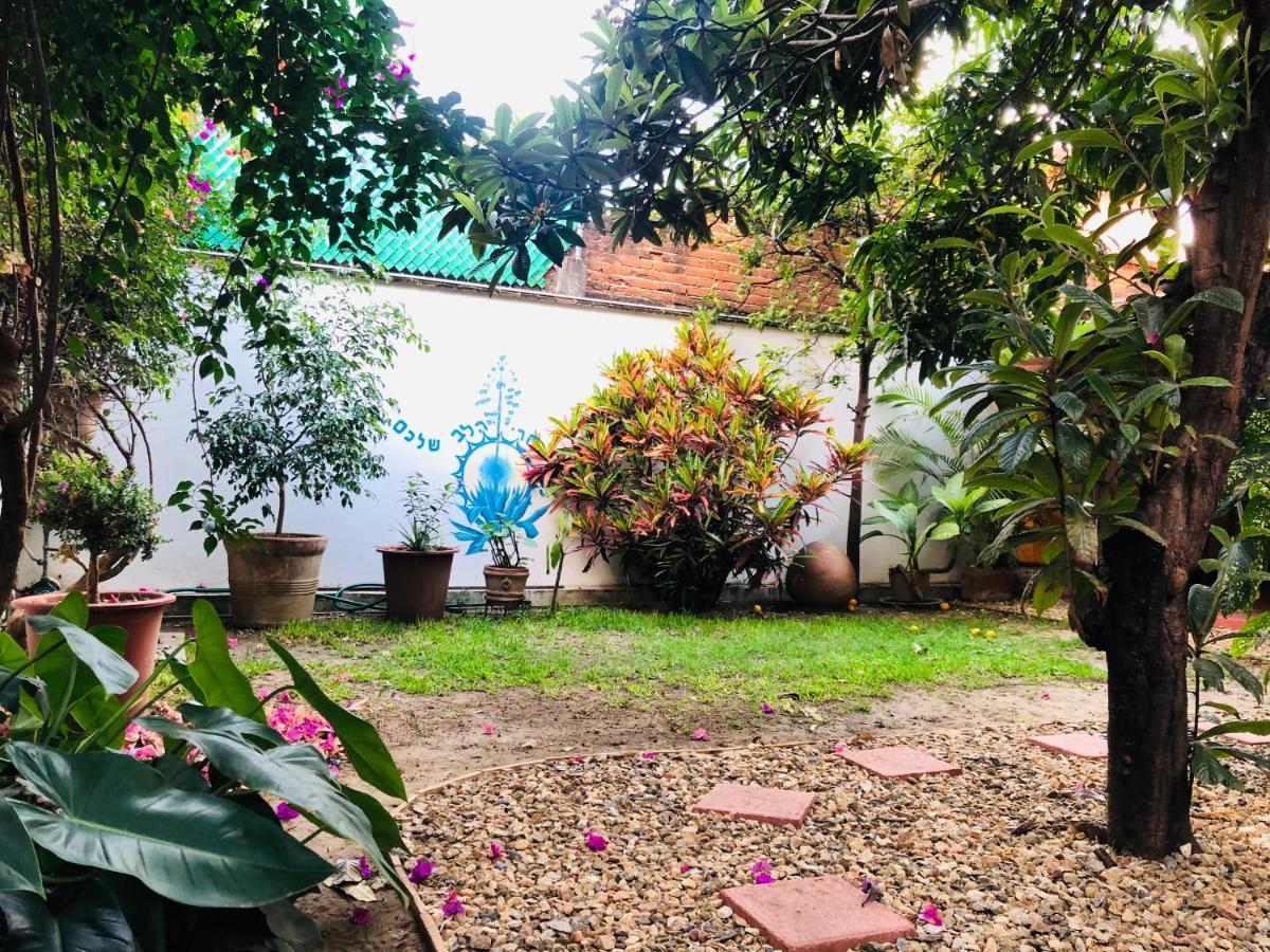 Los Nardos Hostel -Pet Friendly- Oaxaca Eksteriør billede