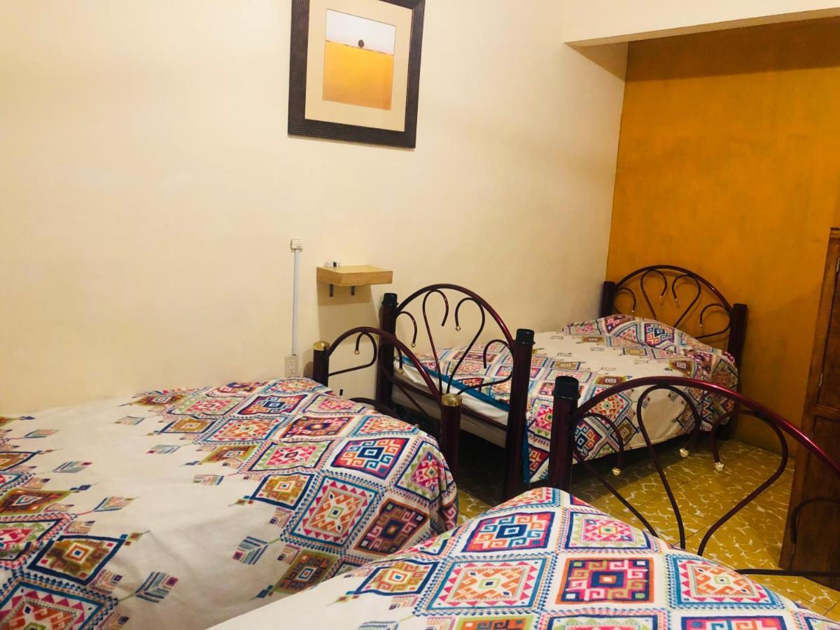 Los Nardos Hostel -Pet Friendly- Oaxaca Eksteriør billede