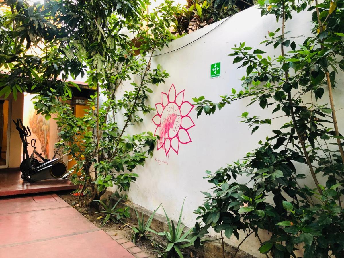 Los Nardos Hostel -Pet Friendly- Oaxaca Eksteriør billede