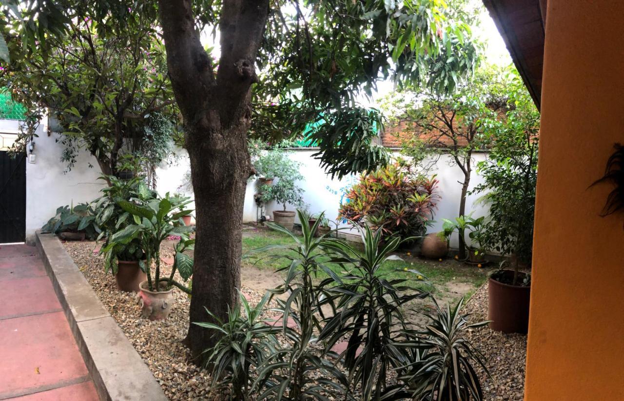Los Nardos Hostel -Pet Friendly- Oaxaca Eksteriør billede