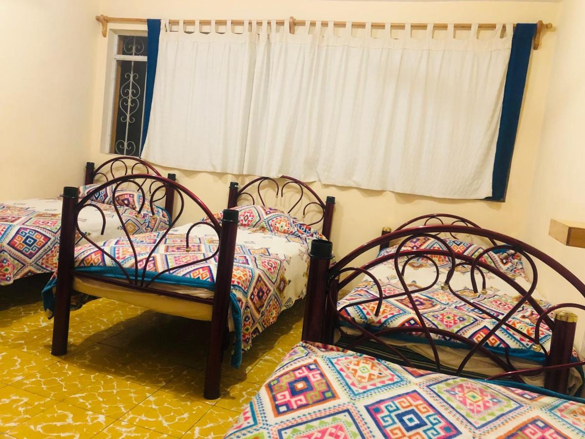 Los Nardos Hostel -Pet Friendly- Oaxaca Eksteriør billede