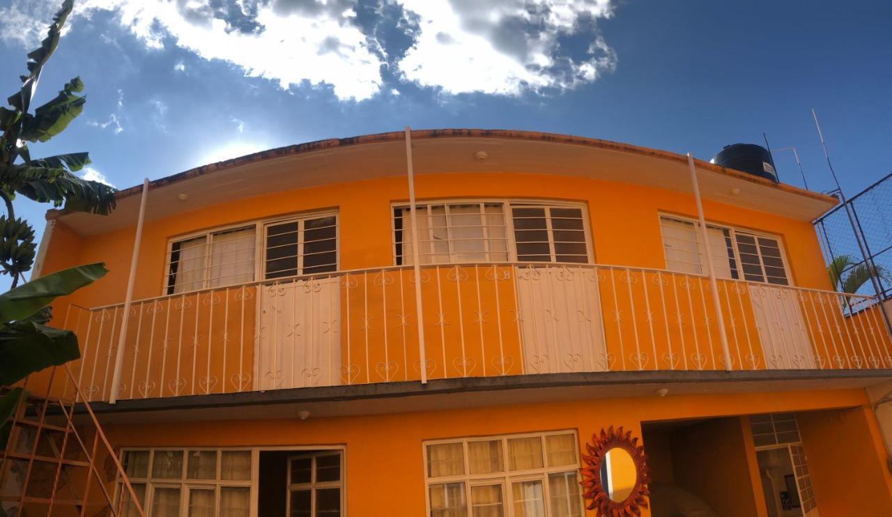 Los Nardos Hostel -Pet Friendly- Oaxaca Eksteriør billede