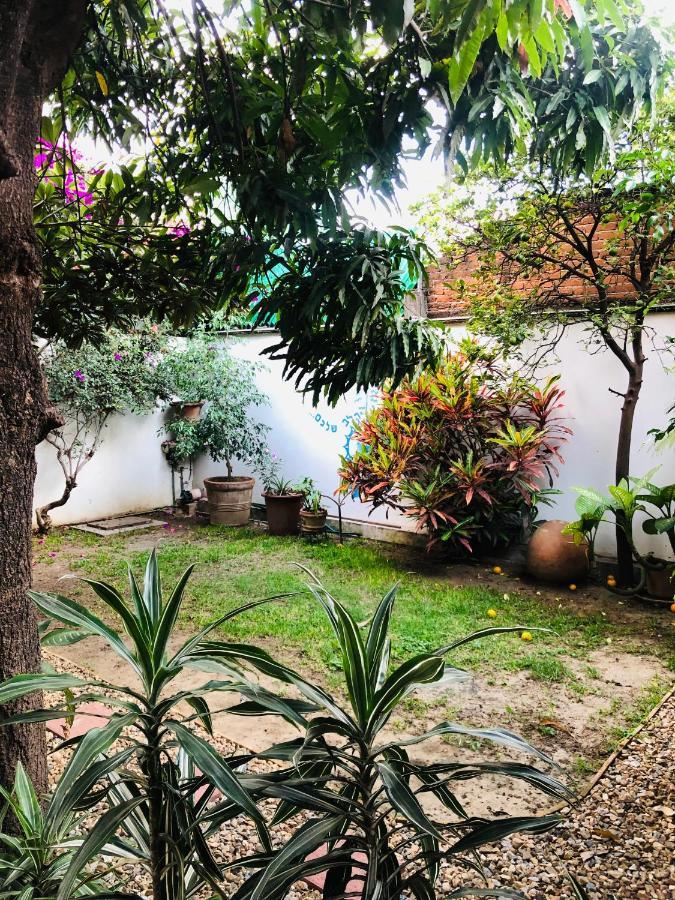 Los Nardos Hostel -Pet Friendly- Oaxaca Eksteriør billede