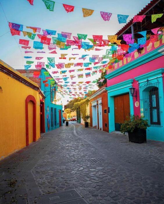 Los Nardos Hostel -Pet Friendly- Oaxaca Eksteriør billede