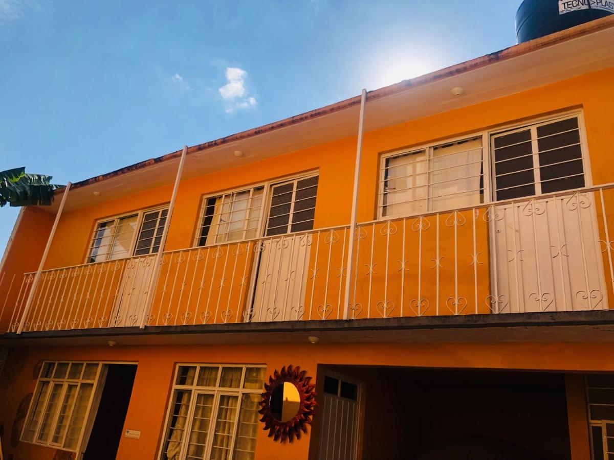 Los Nardos Hostel -Pet Friendly- Oaxaca Eksteriør billede