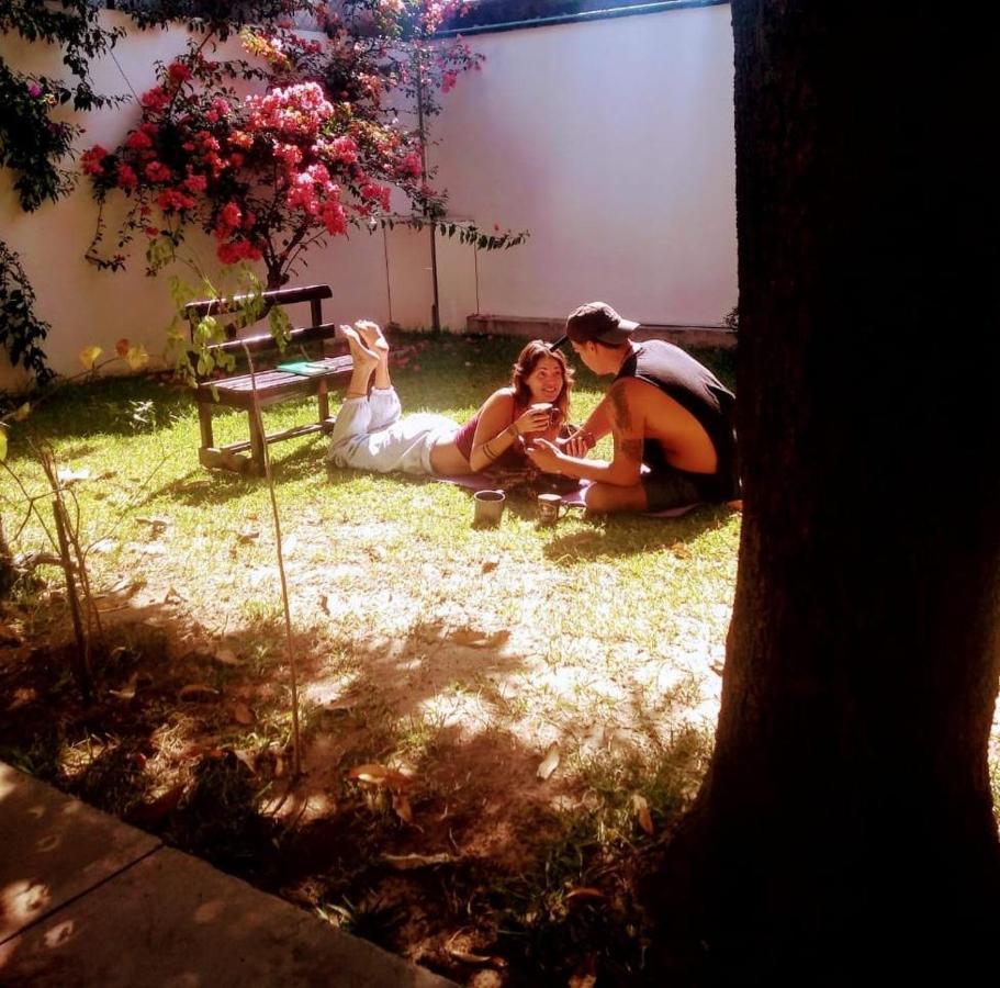 Los Nardos Hostel -Pet Friendly- Oaxaca Eksteriør billede