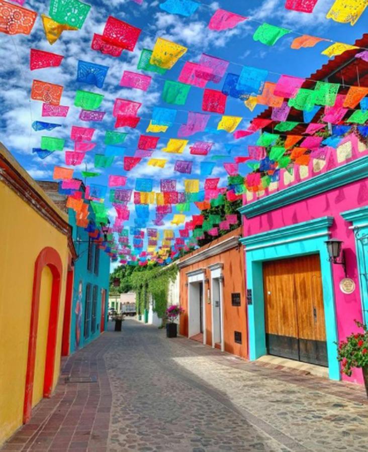 Los Nardos Hostel -Pet Friendly- Oaxaca Eksteriør billede