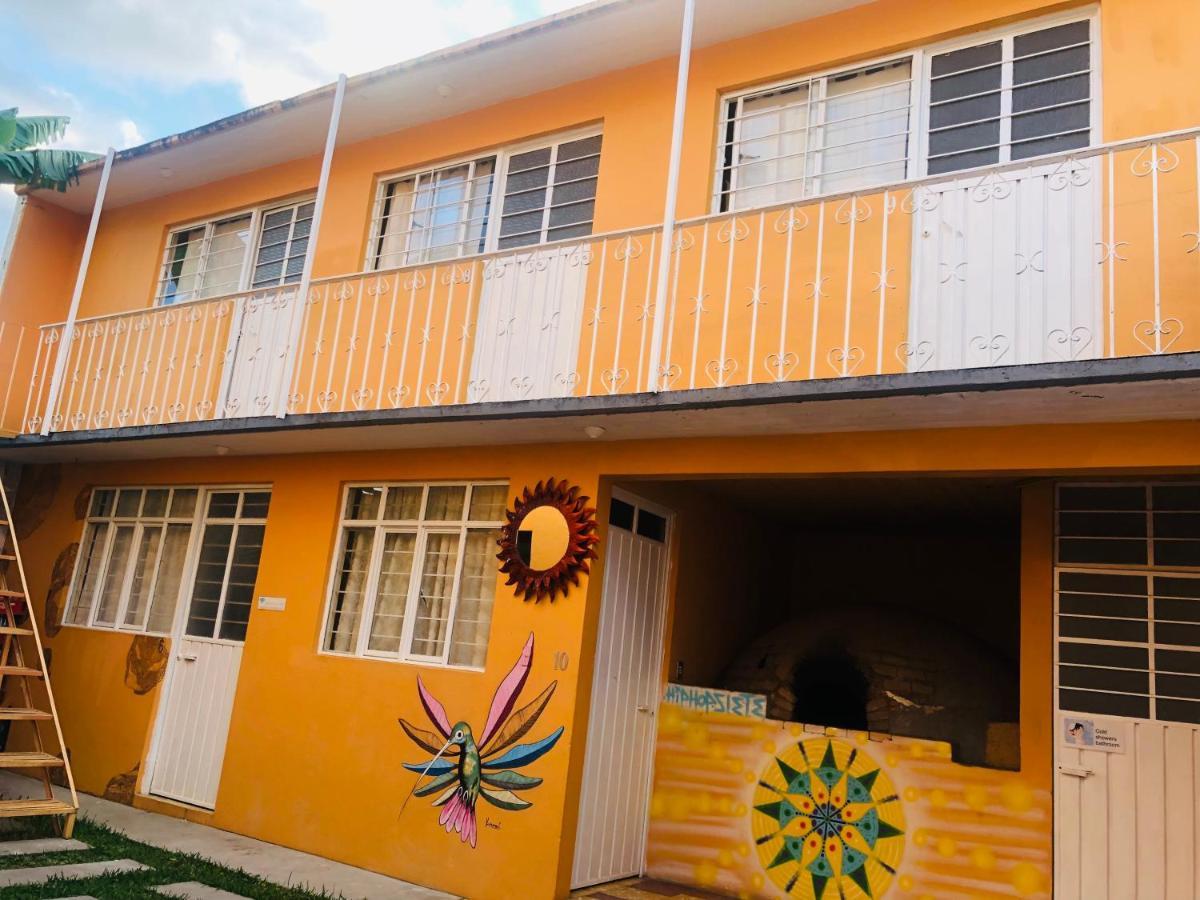 Los Nardos Hostel -Pet Friendly- Oaxaca Eksteriør billede