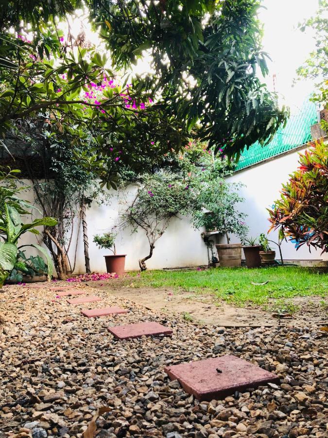 Los Nardos Hostel -Pet Friendly- Oaxaca Eksteriør billede