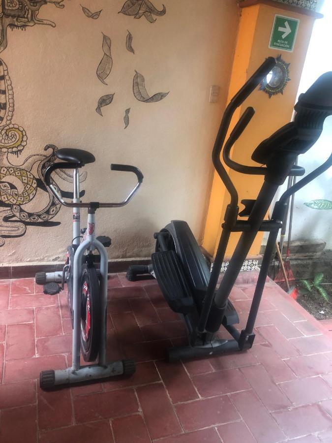 Los Nardos Hostel -Pet Friendly- Oaxaca Eksteriør billede
