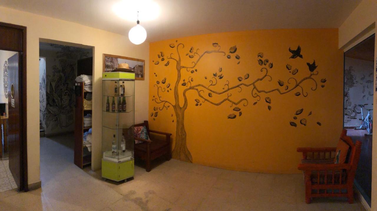 Los Nardos Hostel -Pet Friendly- Oaxaca Eksteriør billede