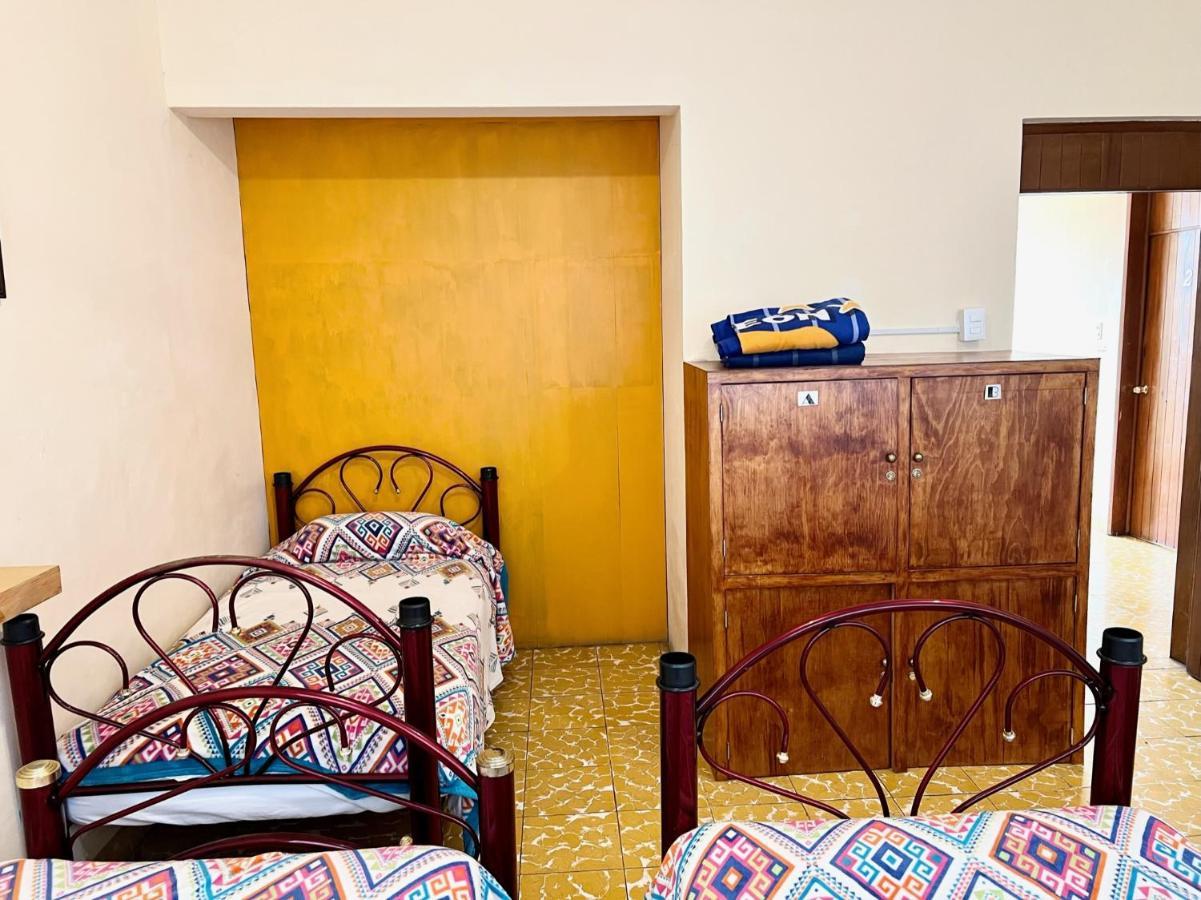Los Nardos Hostel -Pet Friendly- Oaxaca Eksteriør billede