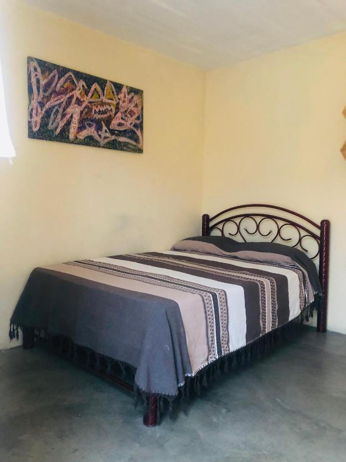 Los Nardos Hostel -Pet Friendly- Oaxaca Eksteriør billede