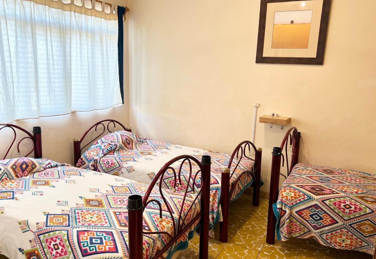 Los Nardos Hostel -Pet Friendly- Oaxaca Eksteriør billede