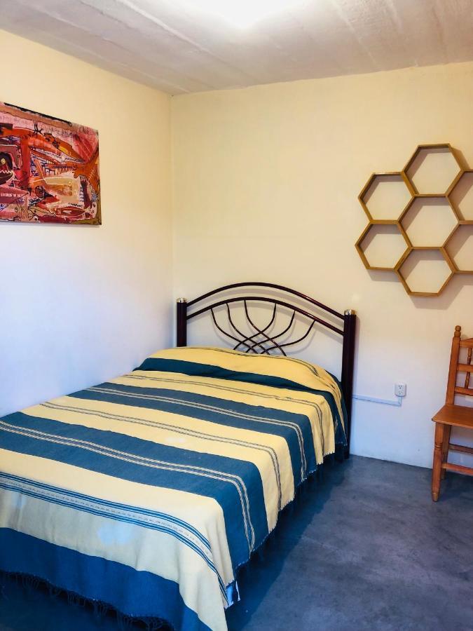 Los Nardos Hostel -Pet Friendly- Oaxaca Eksteriør billede