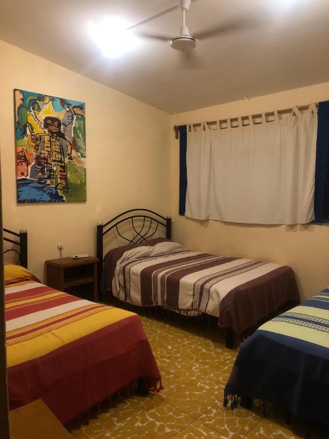 Los Nardos Hostel -Pet Friendly- Oaxaca Eksteriør billede