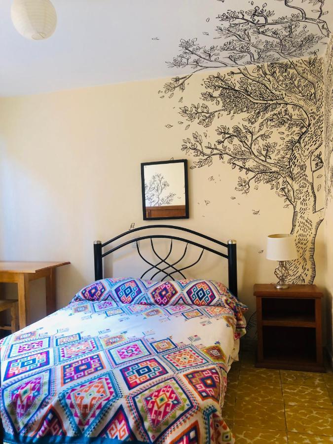 Los Nardos Hostel -Pet Friendly- Oaxaca Eksteriør billede