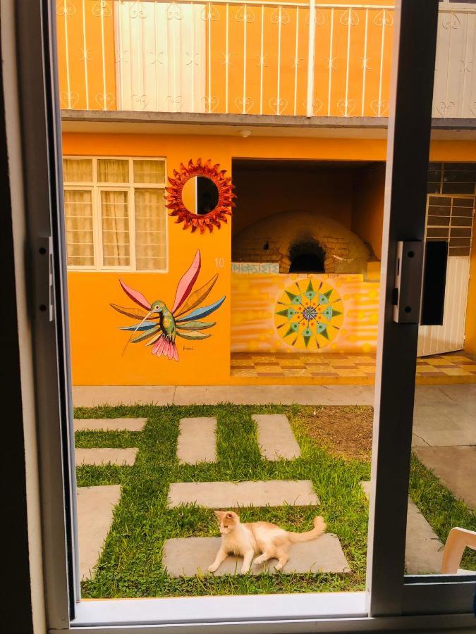 Los Nardos Hostel -Pet Friendly- Oaxaca Eksteriør billede