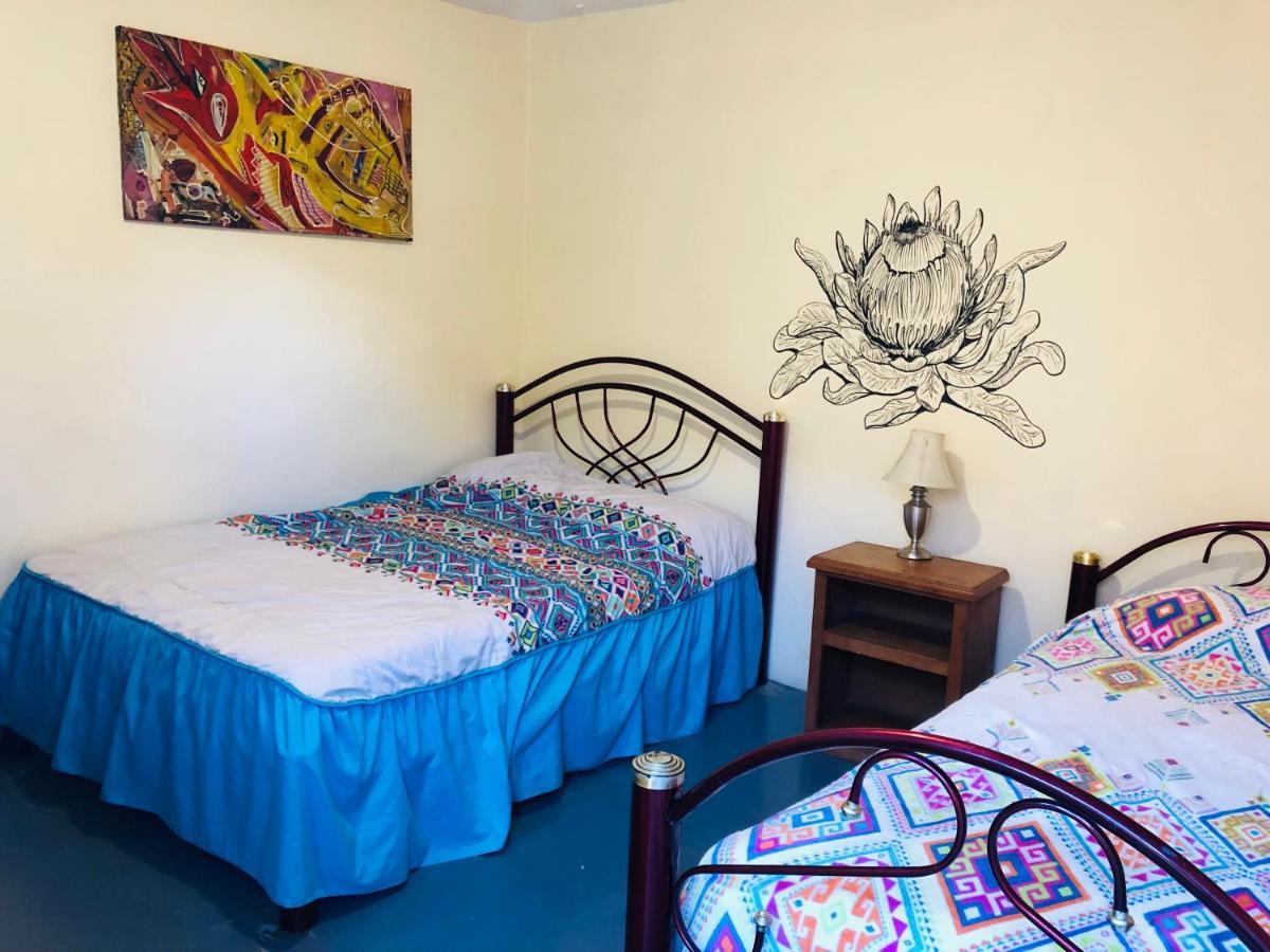 Los Nardos Hostel -Pet Friendly- Oaxaca Eksteriør billede