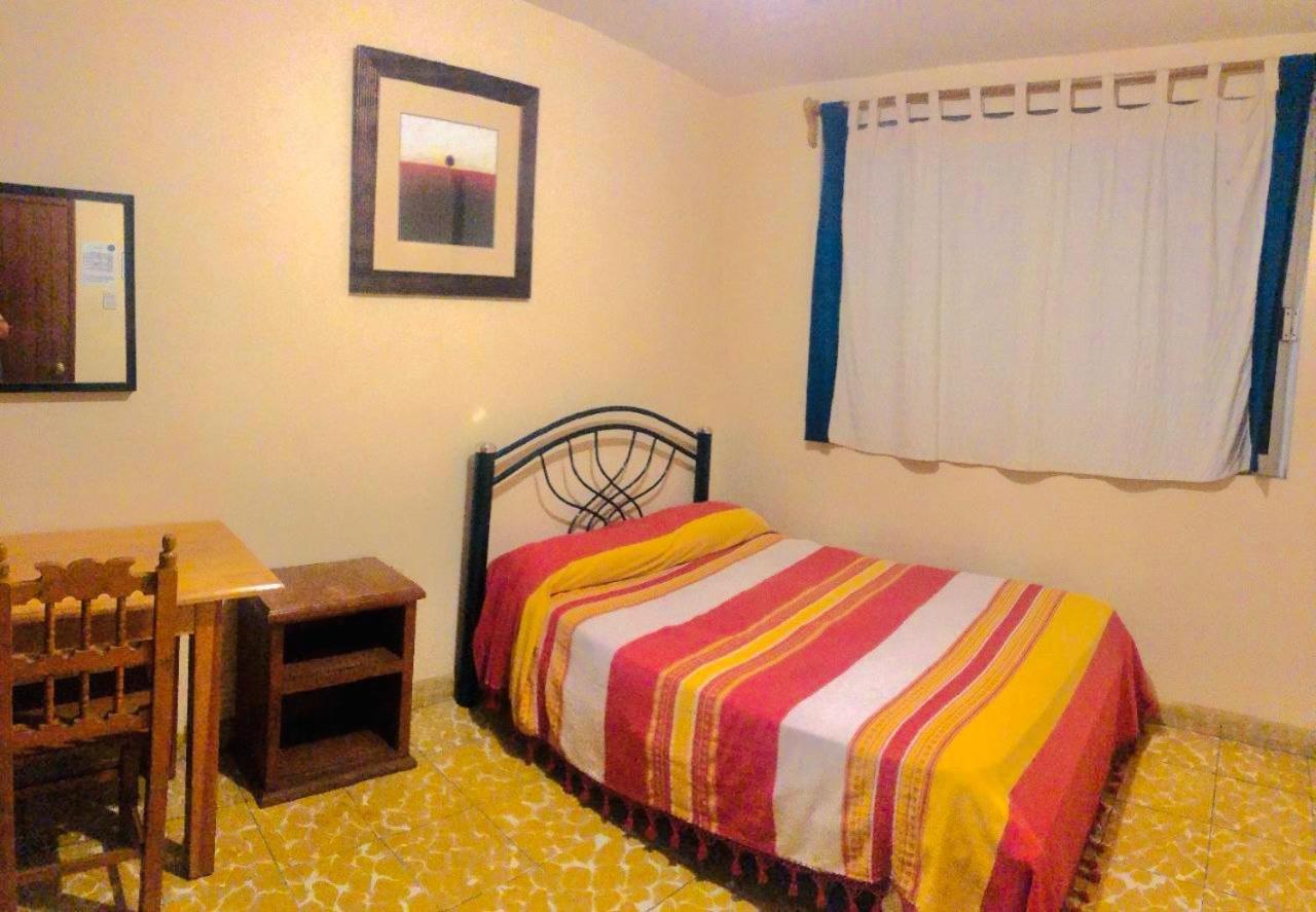 Los Nardos Hostel -Pet Friendly- Oaxaca Eksteriør billede