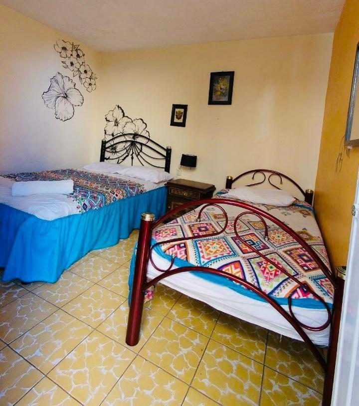 Los Nardos Hostel -Pet Friendly- Oaxaca Eksteriør billede