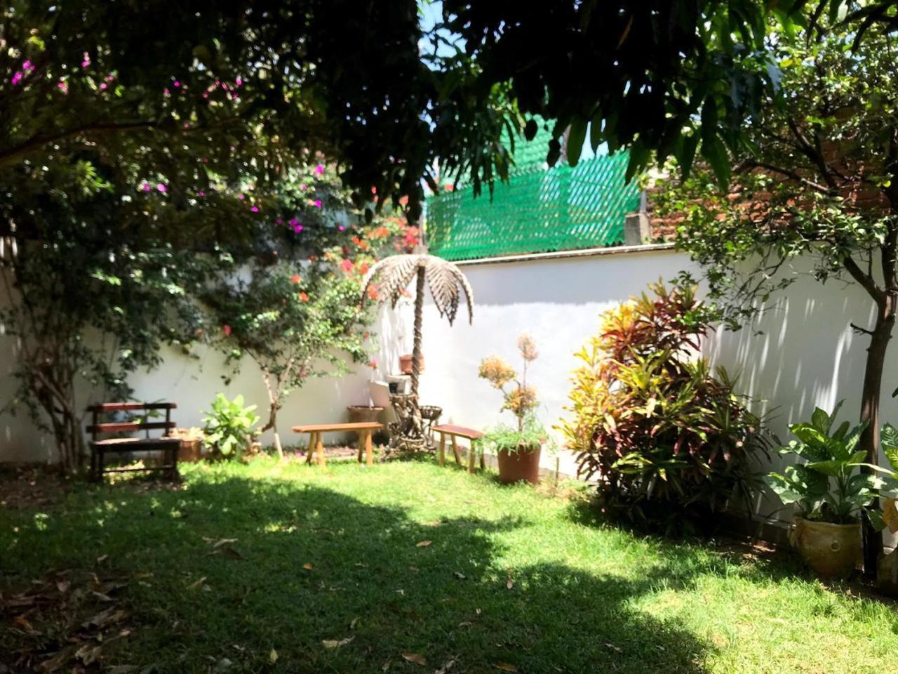 Los Nardos Hostel -Pet Friendly- Oaxaca Eksteriør billede