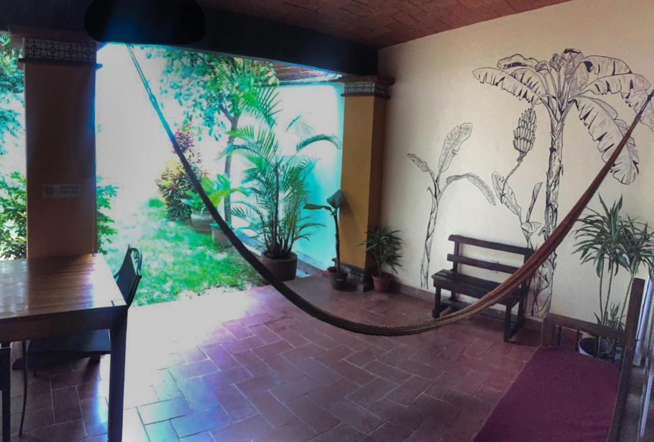 Los Nardos Hostel -Pet Friendly- Oaxaca Eksteriør billede