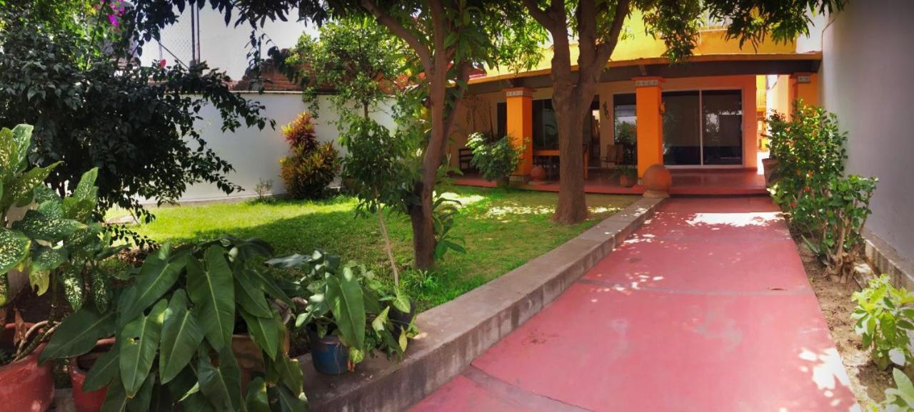 Los Nardos Hostel -Pet Friendly- Oaxaca Eksteriør billede