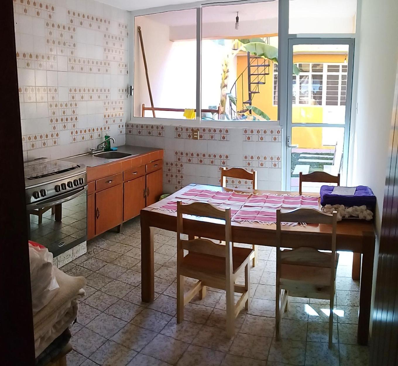 Los Nardos Hostel -Pet Friendly- Oaxaca Eksteriør billede